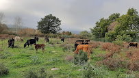 Photos du propriétaire du Restaurant biologique O' Paradisu Ranch à Calenzana - n°5