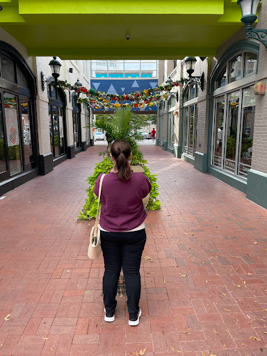 Shopping Mall «Downtown Silver Spring», reviews and photos, 908 Ellsworth Dr, Silver Spring, MD 20910, USA