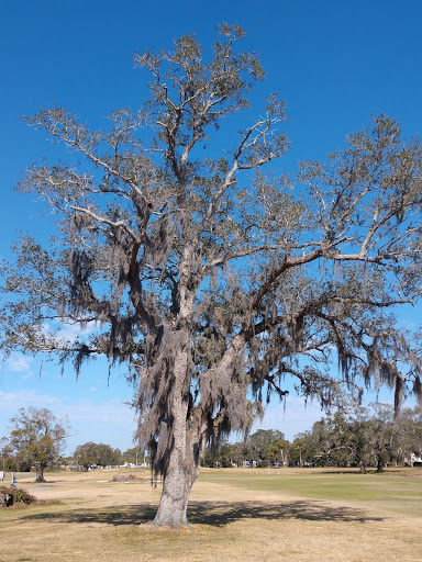 Country Club «East Bay Country Club», reviews and photos, 702 Country Club Dr, Largo, FL 33771, USA