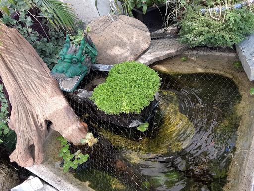 Pet Store «Fish-N-Pets Unlimited», reviews and photos, 11710 Bissonnet St, Houston, TX 77099, USA