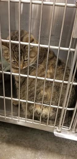 Pet Supply Store «Petco Animal Supplies», reviews and photos, 2807 Wilma Rudolph Blvd, Clarksville, TN 37040, USA