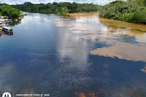 Reserva Nacional de Vida Silvestre Amazónica Manuripi image