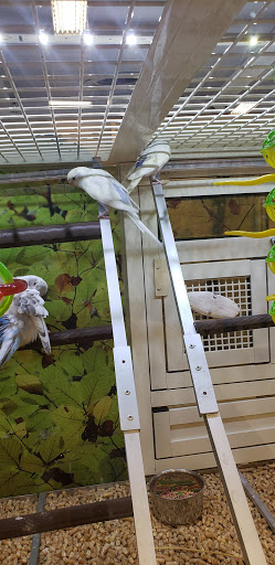 Pet Supply Store «PetSmart», reviews and photos, 1040 Cross Creek Dr, Saltillo, MS 38866, USA