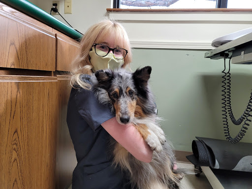 North Greenville Animal Hospital image
