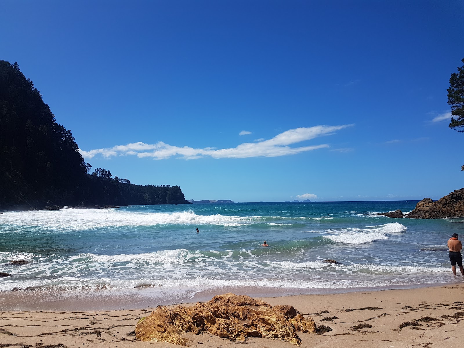 Pokohino Beach'in fotoğrafı vahşi alan