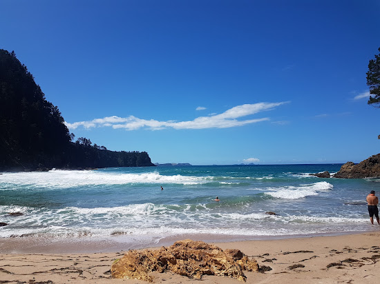 Pokohino Beach