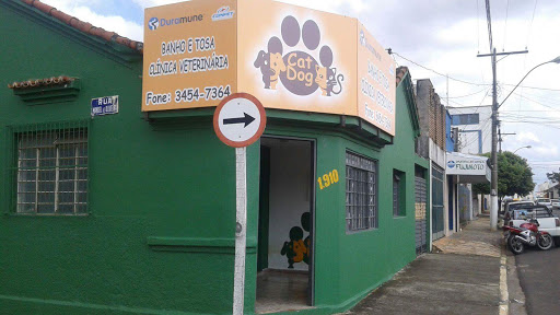 Cat Dog em Marília - SP