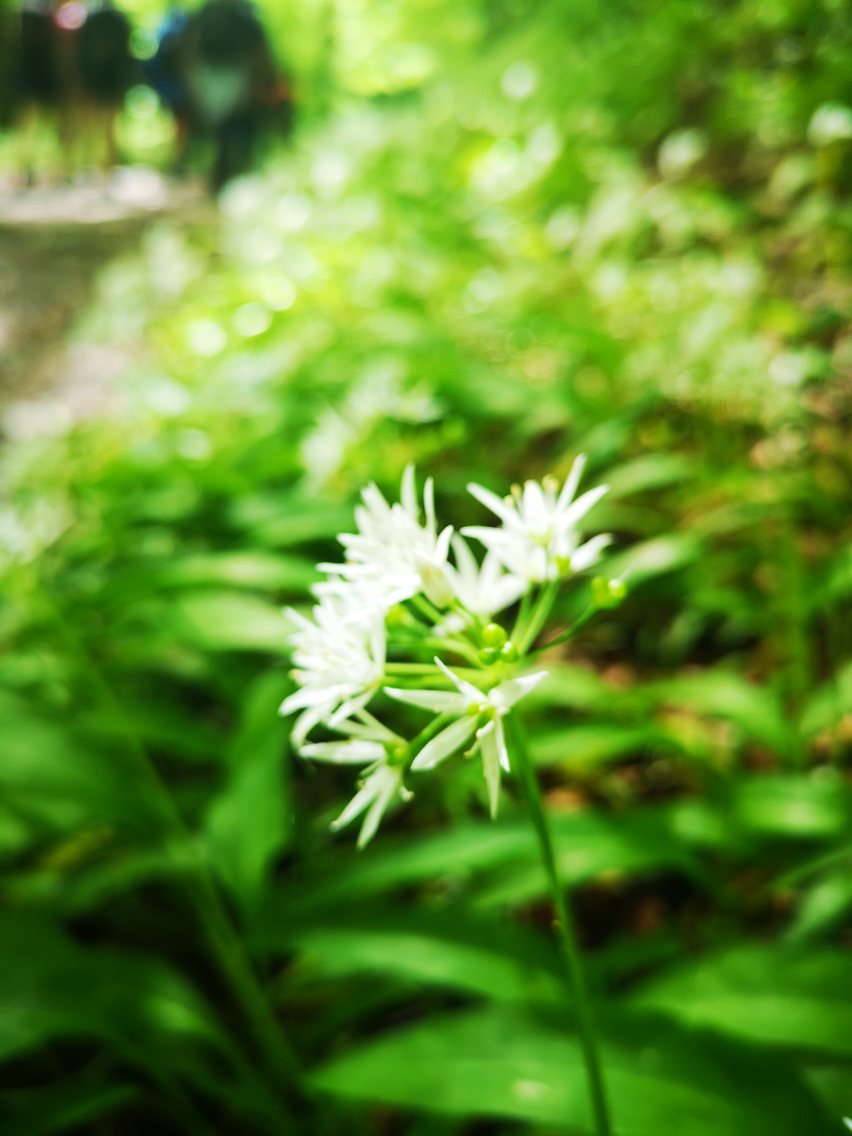 Photo n° 12 de l'avis de Chrystèle.e fait le 14/05/2019 à 05:31