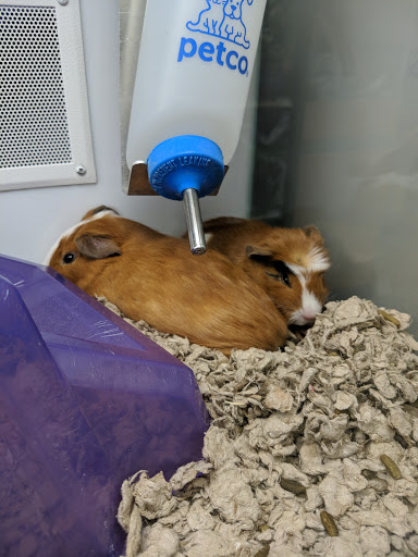 Pet Supply Store «Petco Animal Supplies», reviews and photos, 693 Middletown Warwick Rd, Middletown, DE 19709, USA