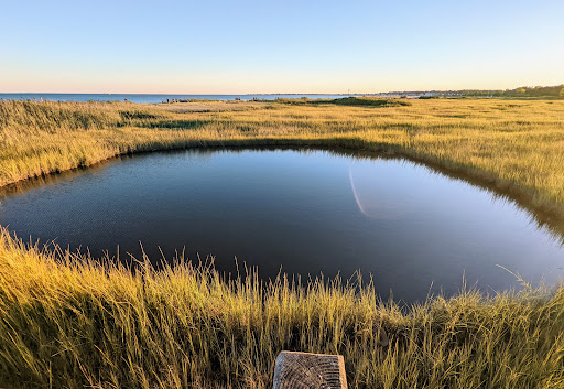 State Park «Silver Sands State Park», reviews and photos, 1 Silver Sands Park Way, Milford, CT 06460, USA