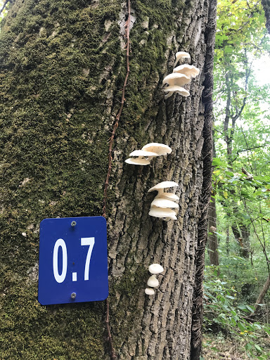 Park «Harrods Creek Park», reviews and photos, 6530 Montero Dr, Prospect, KY 40059, USA