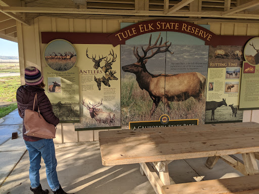 Nature Preserve «Tule Elk Reserve State Natural Reserve», reviews and photos, 8653 Station Rd, Buttonwillow, CA 93206, USA