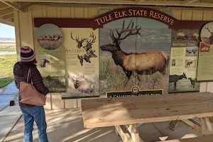 Tule Elk Reserve State Natural Reserve image