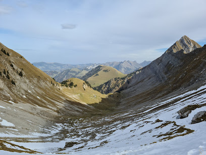 Freiburské Alpy
