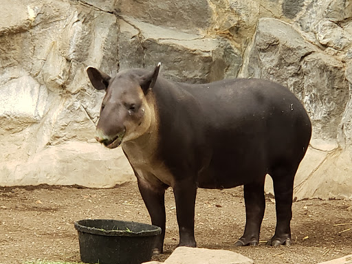 Zoo Cambridge