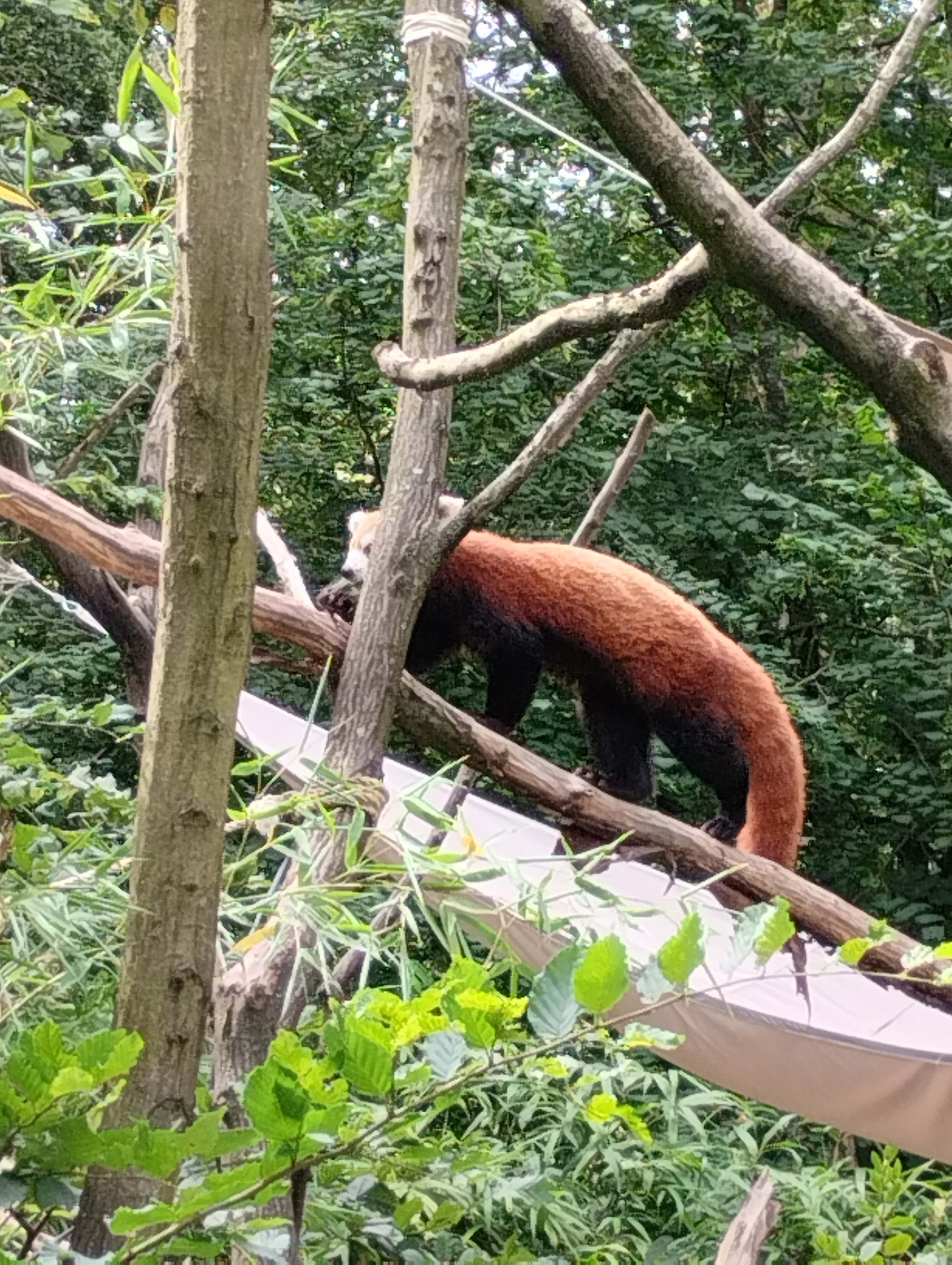 Photo n° 2 de l'avis de Christel.a fait le 04/08/2023 à 19:14