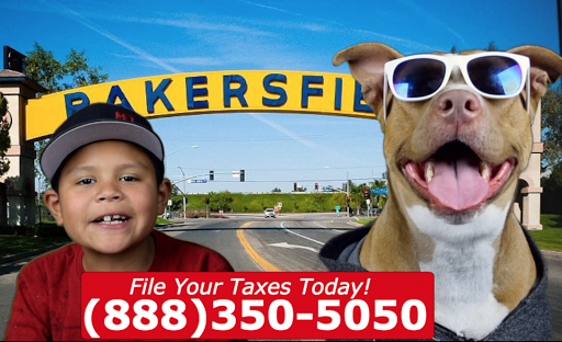 Department of Motor Vehicles «Auto International Insurance & DMV Services - Auto Insurance Seguro Aseguranza», reviews and photos