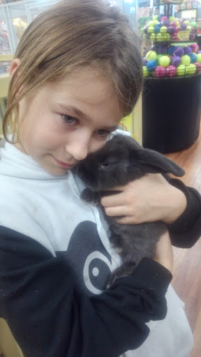 Pet Supply Store «Pet Supermarket», reviews and photos, 11160 Panama City Beach Pkwy #402, Panama City Beach, FL 32407, USA