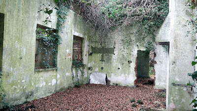 Batisse en ruine à Verneuil-en-Halatte