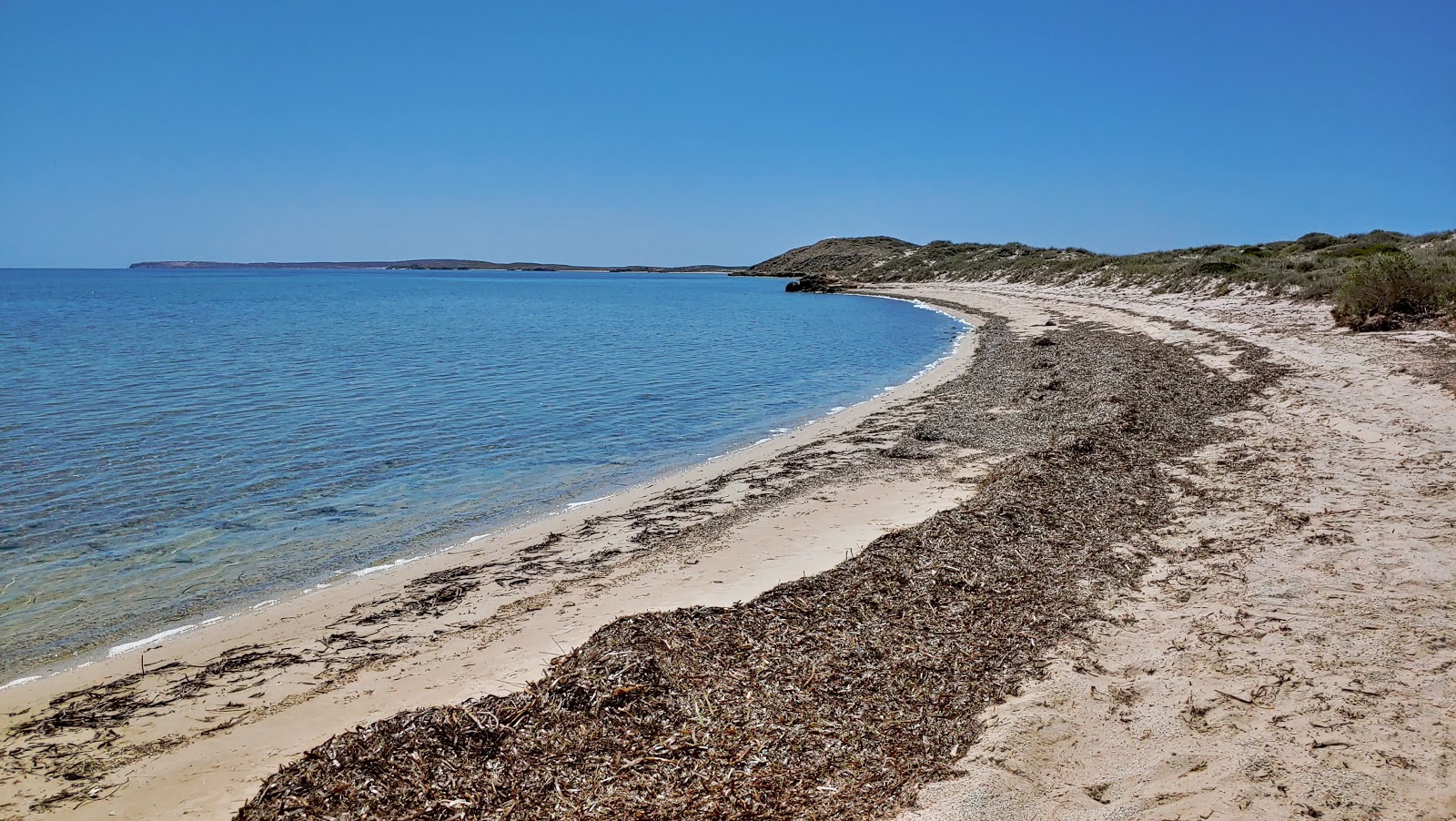 Foto di The Whalebone Road Beach con una superficie del sabbia beige