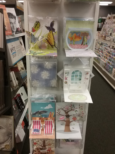 Book Store «Books-A-Million», reviews and photos, 3005 Clarendon Blvd, New Bern, NC 28562, USA