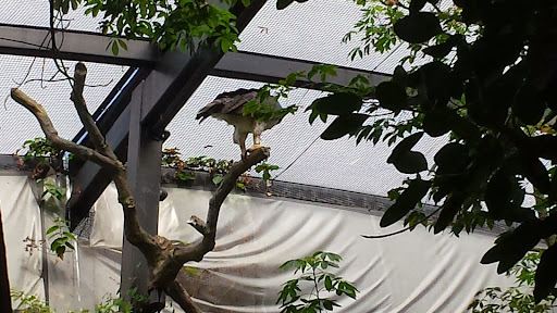 Aquarium «The Dallas World Aquarium», reviews and photos, 1801 N Griffin St, Dallas, TX 75202, USA