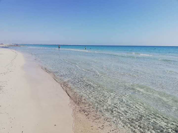Fotografija Ghabana beach z dolga ravna obala