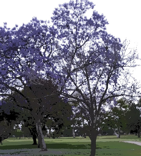 Golf Course «Willowick Golf Course», reviews and photos, 3017 W 5th St, Santa Ana, CA 92703, USA