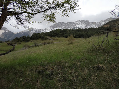 Sentier botanique Dominique Villars à Le Noyer