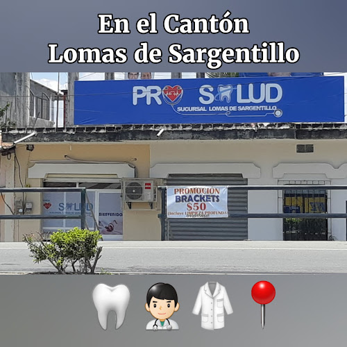 Opiniones de Pro Salud, sucursal Lomas de Sargentillo en Lomas de Sargentillo - Médico