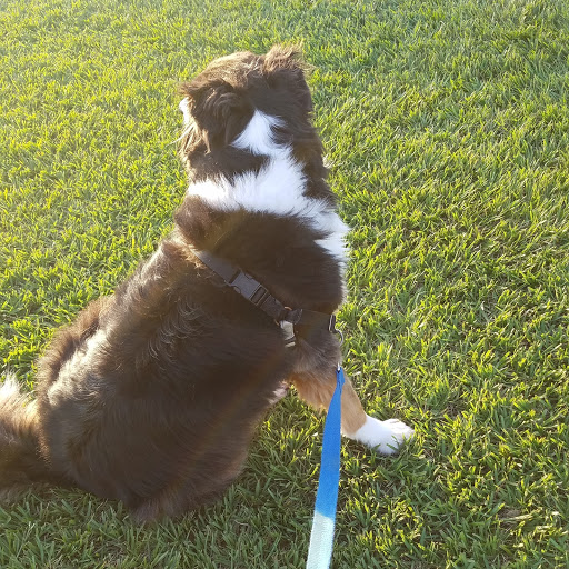 Park «Matzke Park», reviews and photos, 13110 Jones Rd, Houston, TX 77070, USA