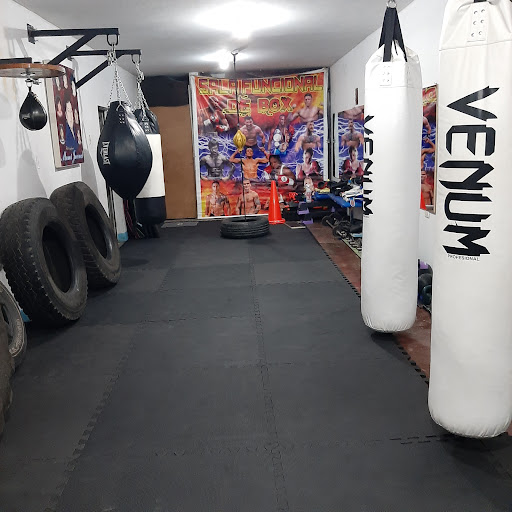 ESCUELA DE COMBATE TEAM MARJORIE ( GIMNASIO DE BOX)