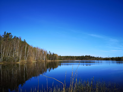 Liivjärv