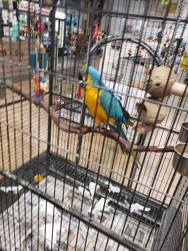 Animal Feed Store «Wabash Feed & Garden Store», reviews and photos, 4537 N Shepherd Dr, Houston, TX 77018, USA