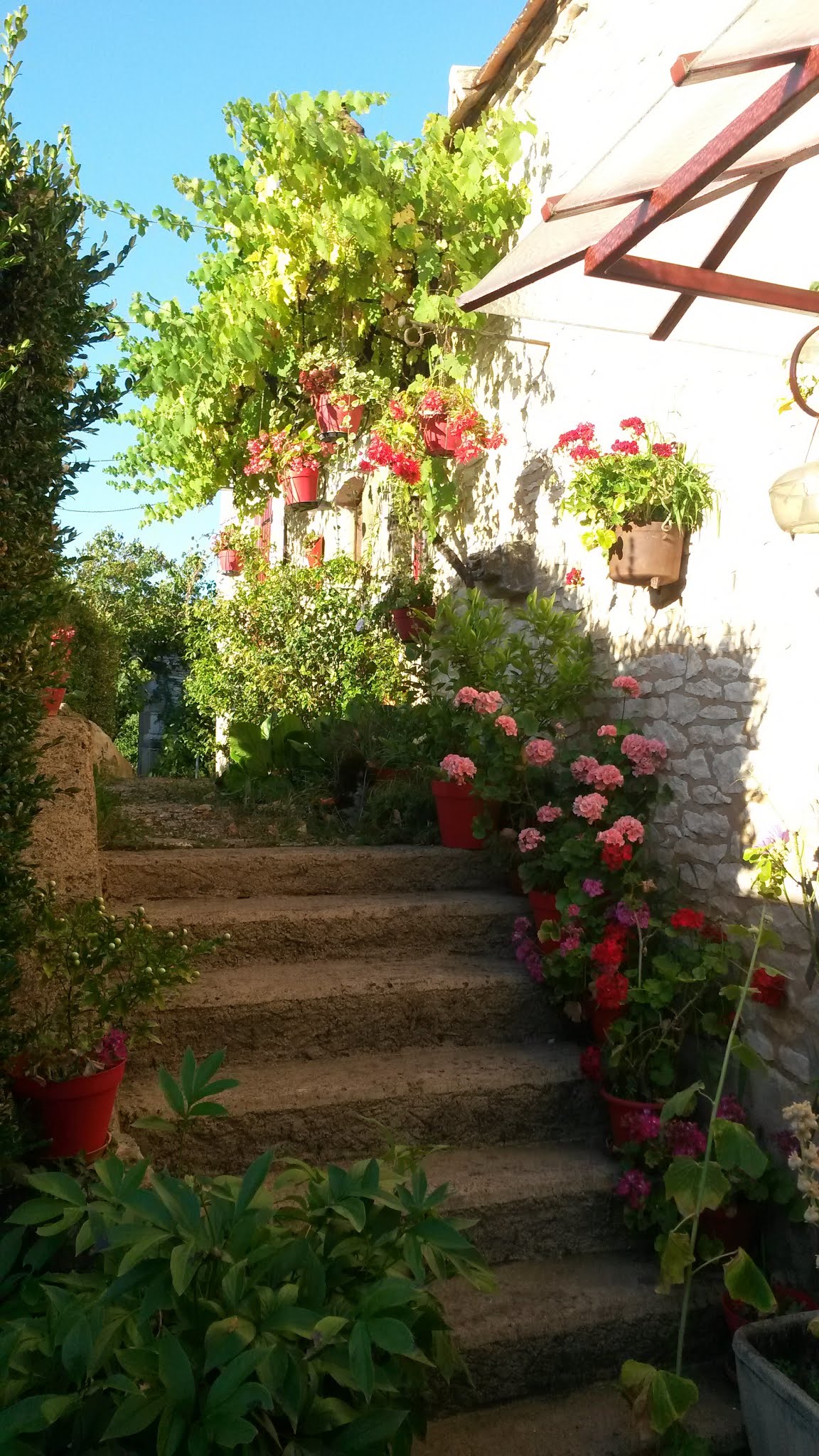 Photo n° 4 de l'avis de robert.M fait le 03/08/2018 à 17:28