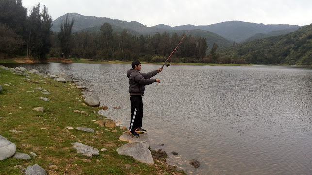 Opinii despre MAYQA în Limache - Frutería