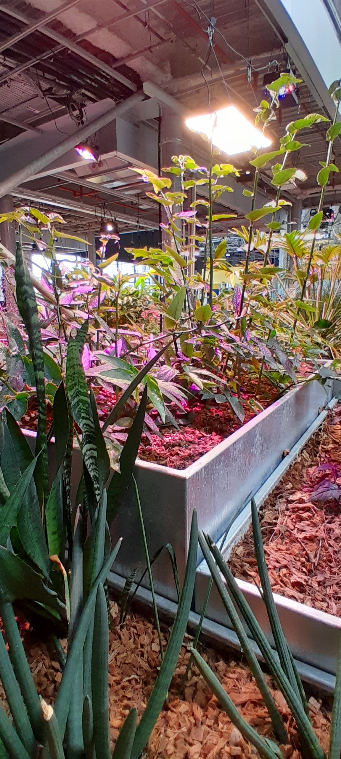 Photo n° 7 de l'avis de Nana.n fait le 02/10/2023 à 06:43