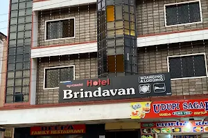 Hotel Brindavan Boarding and Lodging image