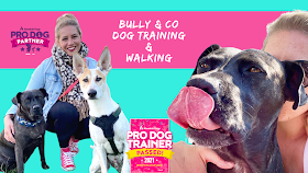 Bully & Co Dog Training