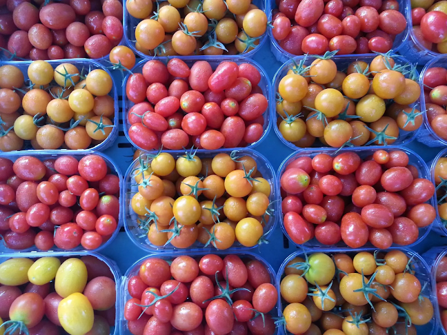 Kommentare und Rezensionen über Azienda Ortofrutticola Taiana sagl