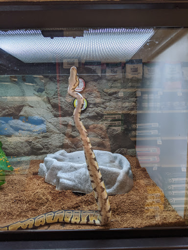 Pet Supply Store «Petco Animal Supplies», reviews and photos, 1919 El Camino Real, Mountain View, CA 94040, USA