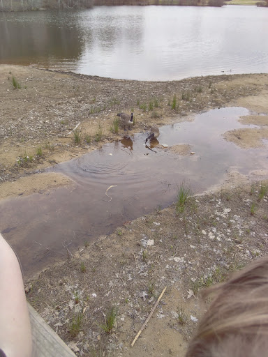 Park «Little Mulberry Park», reviews and photos, 3855 Hog Mountain Rd, Hoschton, GA 30548, USA