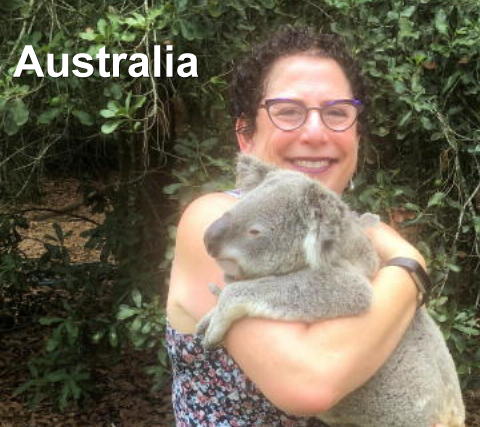 Travel Agency «Holiday Tour & Travel», reviews and photos, 10 W Strawberry Alley, Shiremanstown, PA 17011, USA