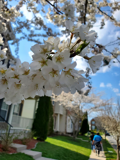 Park «Gough Park», reviews and photos, 9300 Honeygo Blvd, Perry Hall, MD 21128, USA