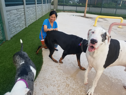 Veterinarian «PetCoral Resort and Veterinary», reviews and photos, 924 Del Prado Blvd, Cape Coral, FL 33990, USA