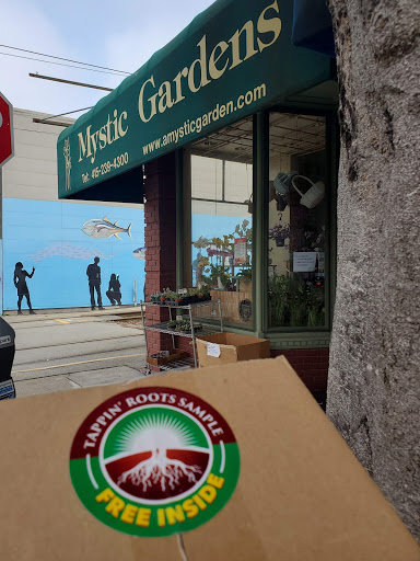 Florist «Mystic Garden Florist», reviews and photos, 2626 Ocean Ave, San Francisco, CA 94132, USA