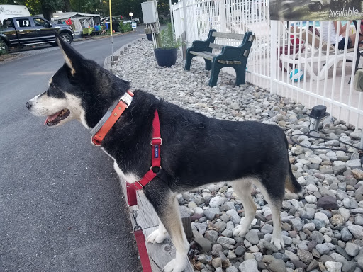 Campground «Holly Shores Camping Resort», reviews and photos, 491 U.S. 9, Cape May, NJ 08204, USA