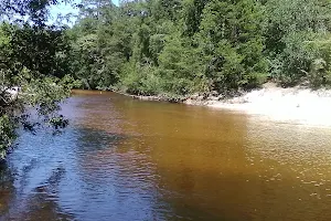 Wilderness Landing On Blackwater River image