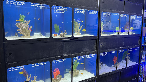 Tropical Fish Store «Aquatic Obsessions», reviews and photos, 1150 St George Ave, Avenel, NJ 07001, USA