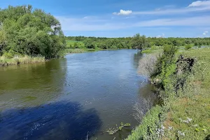 Pivdennyi Buh River image